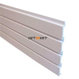 Plastikinė Eurosiena 1000*310